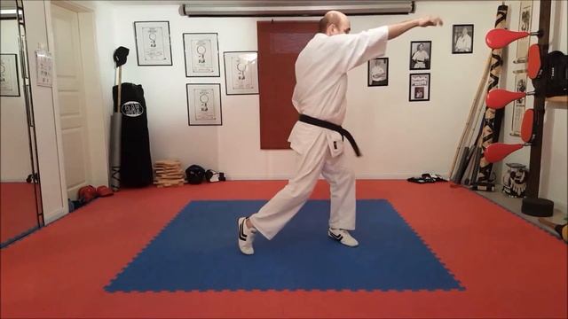 Karate Home Training - Karate mit Stefan смотреть онлайн