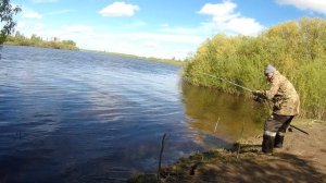 Отличная рыбалка на замечательной реке Тура г Тюмень