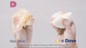 Рекламный блок (Домашний, 02.08.2018) (4)