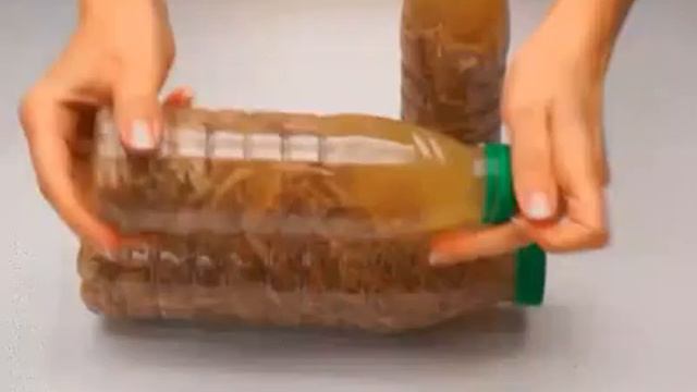 Вкусный холодец хрюша!!!😋 смотреть онлайн