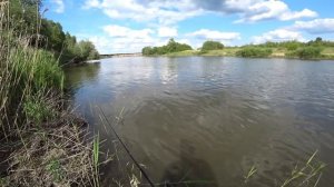 Жерех На Спиннинг - Это Здорово! Река Сура! Рыбалка в июне.