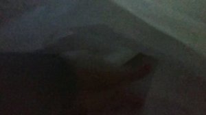 Укрытие винограда на зиму в теплице. Ноябрь 2019.