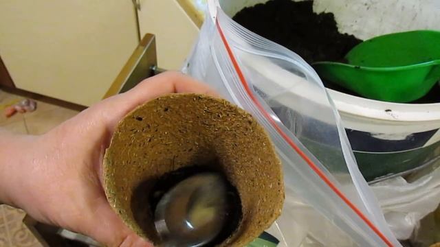 БЕГОНИЯ Когда и Как прорастить клубни смотреть онлайн