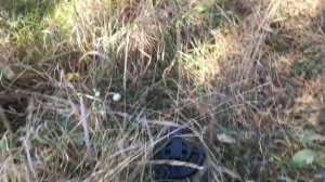 Обзор металлоискателя GTX5030. Почти MD4030 PRO (Металлоискатель МД 4030)