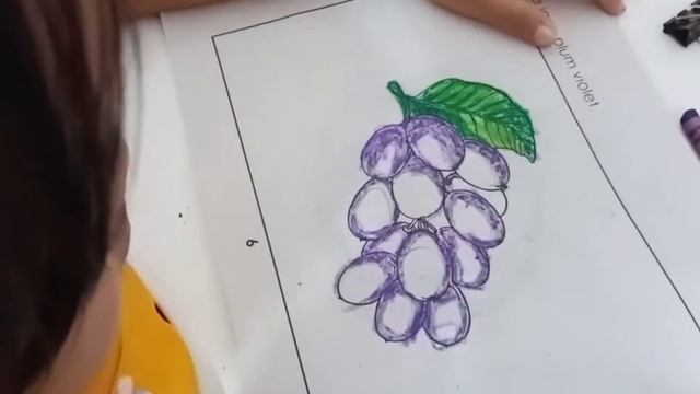 Color a java plum violet смотреть онлайн