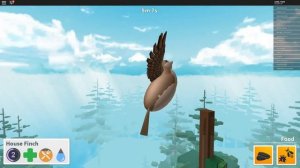 СИМУЛЯТОР ПТИЦЫ В РОБЛОКС Bird Simulator! - Roblox симулятор на русском