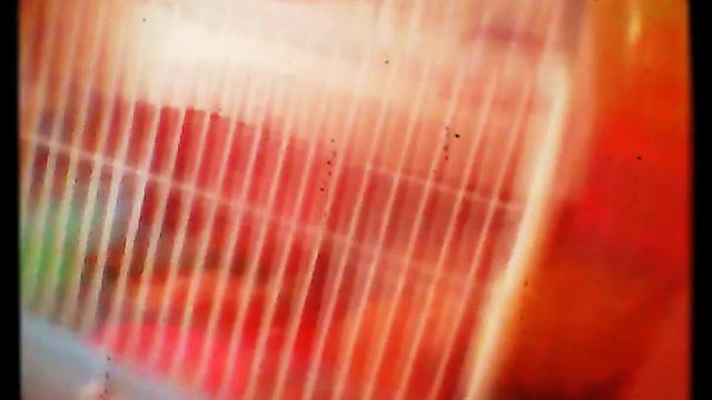 Мой домашний зоопарк смотреть онлайн