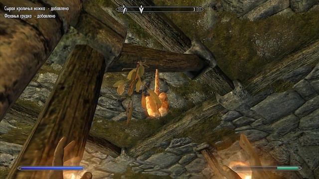 The Elder Scrolls V: Skyrim | Прохождение за воина орка | Часть #1 смотреть онлайн