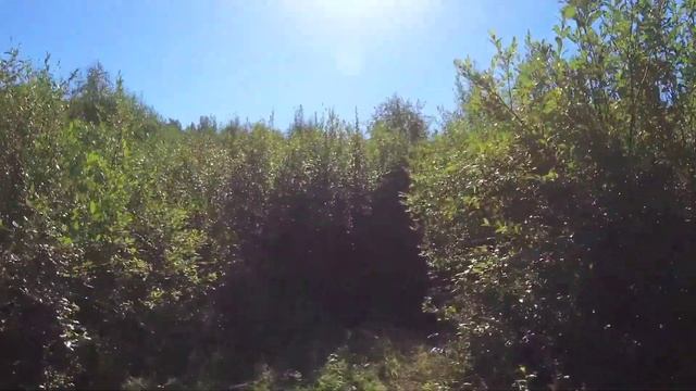 Велопутешествие Куркиёки - залив Муролахти (Кочерга) смотреть онлайн