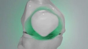 Морской коллаген