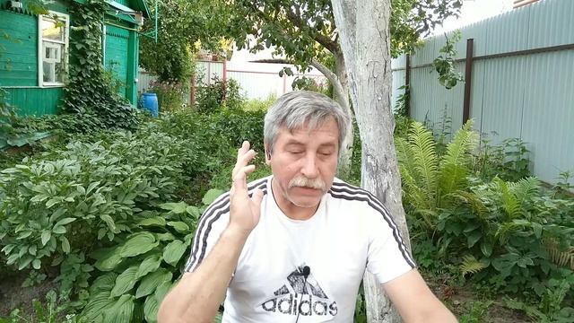 HiFi TWS Earbuds BluMusi S15 смотреть онлайн