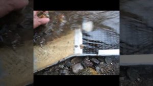 Промывка золота на разведочном шлюзе #золото #шлюз #фракция