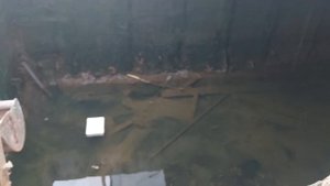 Ферма пожарный водоем чистим после мора рыбы-((