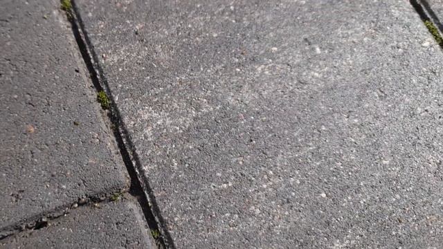 Тротуарная плитка Новый город "Штайн Блэк" смотреть онлайн