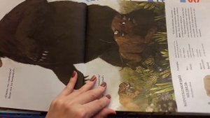 Тоби и гиганты ледникового периода. Джо Лиллингтон. Обзор книги.