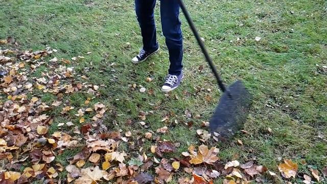 Уборка листьев в Риге и Рижских районах "sia GSW "Садовник в Риге - Латвия" смотреть онлайн