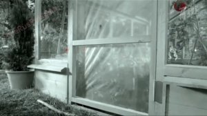 Аdvertising  Реклама Китикет Kitekat   Борис поймал пчелу