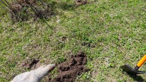 Нашел в поле не пойми что, страшно брать в руки. Коп поиск монет 2022