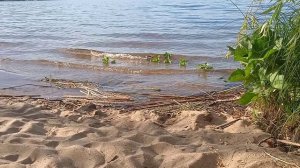 Пляж на реке волге 🌊☀🌊☀🌊☀