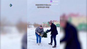 Жители Коми снова стали ставить новогодние ёлки