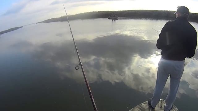 Судак на каролину на резину с запахом чеснока и сала... смотреть онлайн