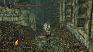 Dark Souls 2 - #15. Темнолесье + босс - Скорпион Нажка.