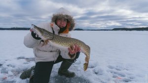 Ловля щуки на жерлицы. Трофей, щука на 4100.  Вот это рыбалка! / Catching pike in winter. Big pike-