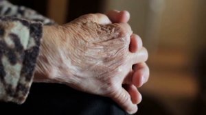 Сожители замучили кота до изнеможения, не подозревая какое наказание понесут за это…