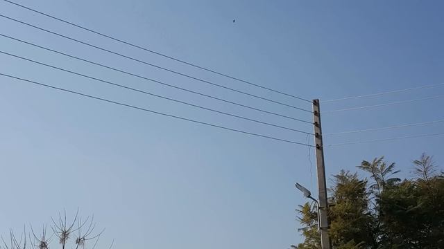 Single phase and Three phase complete explanation in Urdu | Electric Transmission and Distribution