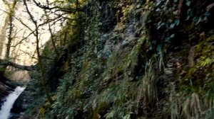 Туры на квадроциклах в Красной Поляне