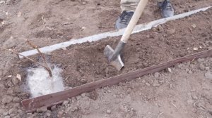 Посадите малину правильно. Как посадить малину.