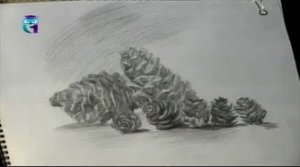 Уроки рисования (# 26) карандашом. Рисуем шишки
