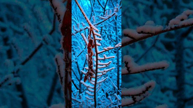 Что такое баланс белого(WB) в смартфонах смотреть онлайн