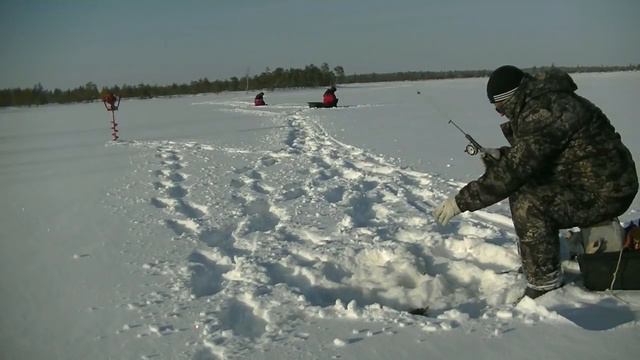 Зимняя рыбалка. Здесь Глухозимья НЕТ!!! смотреть онлайн