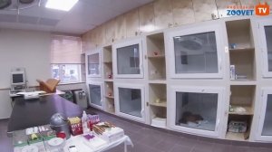 Ветеринарный центр «ЗООВЕТ». Что такое современная ветеринарная клиника?