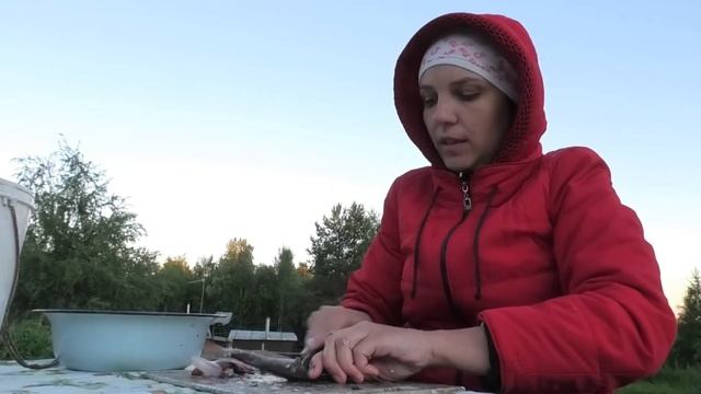 Поливаю Грядки/ Чищу Рыбу/ У Меня Это Ловко Получается/ смотреть онлайн