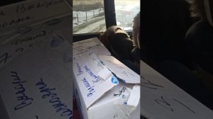 тойота ками (1)