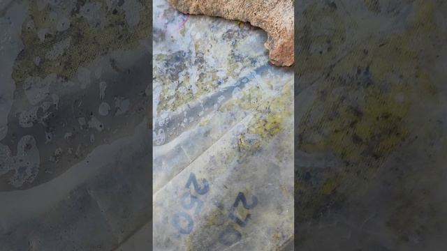 Безртутный градусник. Разбил. Как ртуть на шарики распадается. Разница между ртутным и безртутный. смотреть онлайн