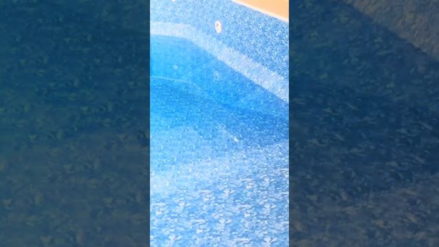 Ремонт огромного каркасного бассейна Часть 4