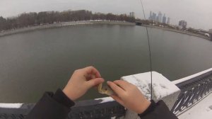 Une journée en StreetFishing !