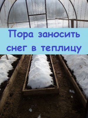 Пора заносить снег в теплицу, важно правильно выбрать время для этого!