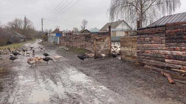 15-11-2023 смотреть онлайн