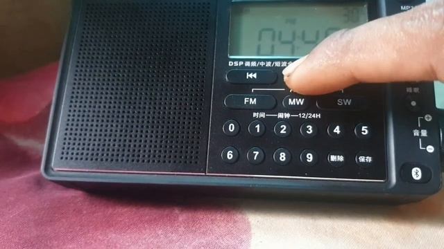 #Panda #Shadmart.com Panda 6218 MW FM SW MP3 Bluetooth Radio