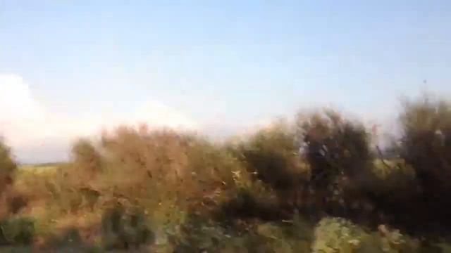 Виноградники Крыма смотреть онлайн