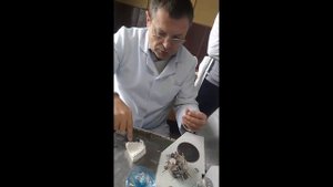 Изготовление мостовидного протеза и пайка