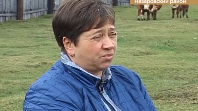 О хлебе насущном от 29.09.17 смотреть онлайн