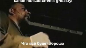 Слоновые частушки 5