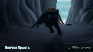 Centuries коты воители клип.