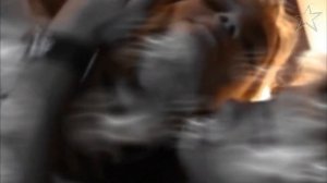 Мия и Мануэль - Прощание