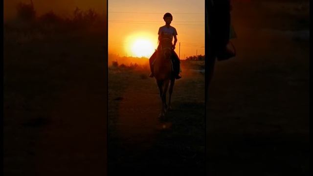 Тренировки на закате .Конная стрельбы из лука